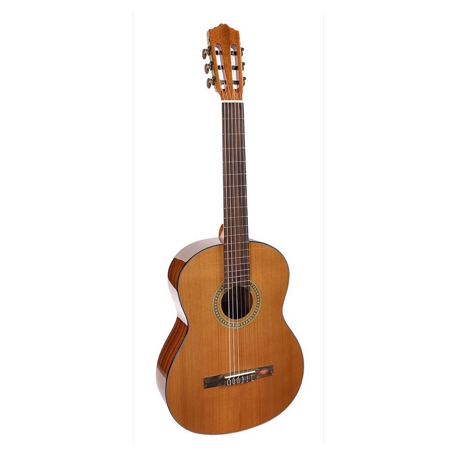 Salvador Cortez CC 10 / CC10 Student Series klassieke gitaar