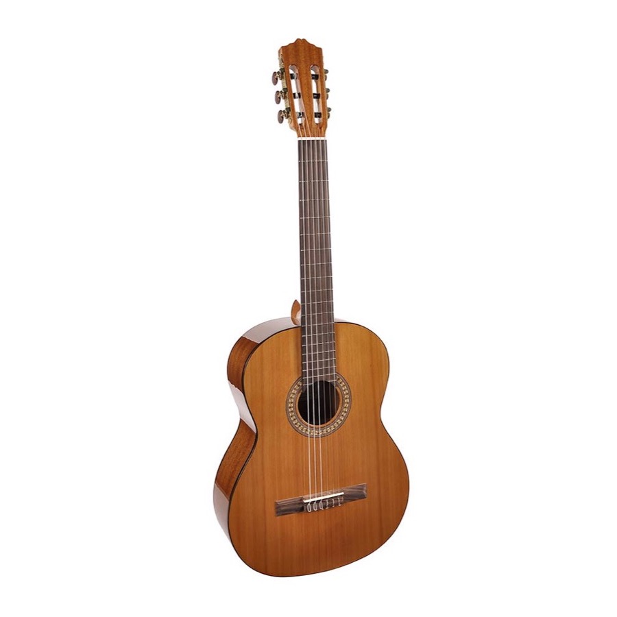 Salvador Cortez CC 22 / CC22 Solid Top Artist Series klassieke gitaar
