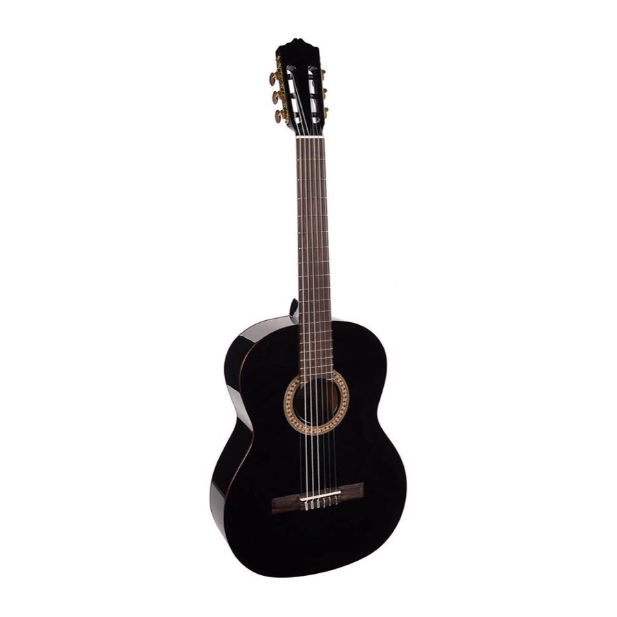 Salvador Cortez CC-22 BK Solid Top Artist Series klassieke gitaar