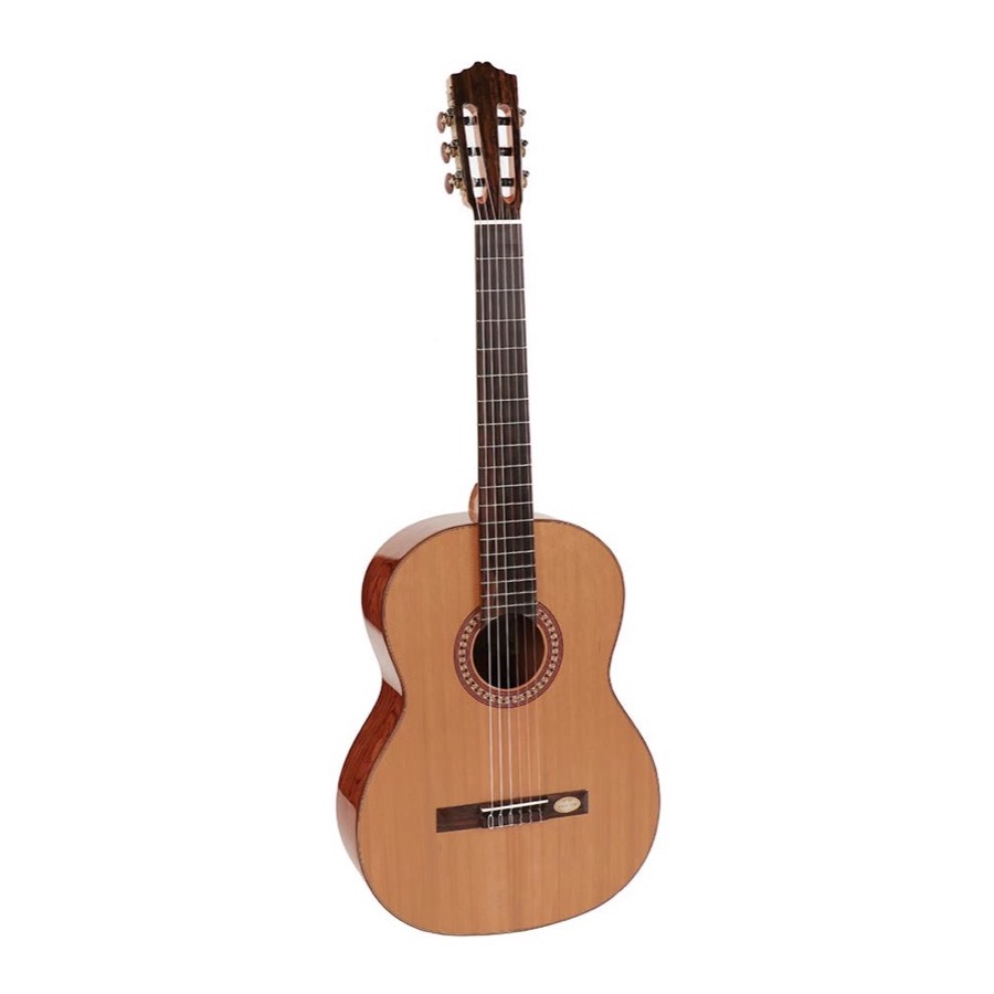 Salvador Cortez CC 25 / CC25 Solid Top Artist Series klassieke gitaar