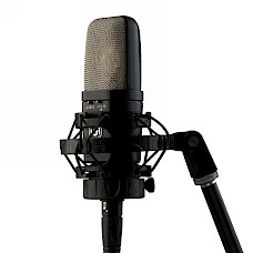 Warm Audio WA 14 Condenser Microphone