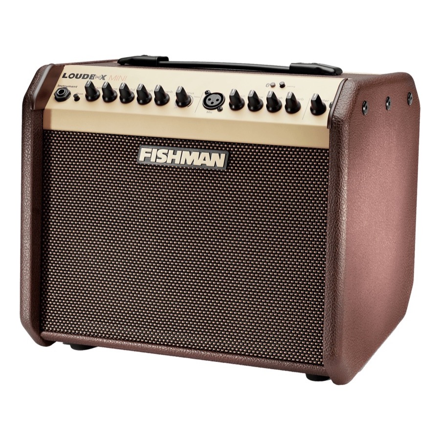 Fishman Loudbox Mini Bruin Bluetooth 60 Watt Inclusief Beschermhoes SUPERAANBIEDING !