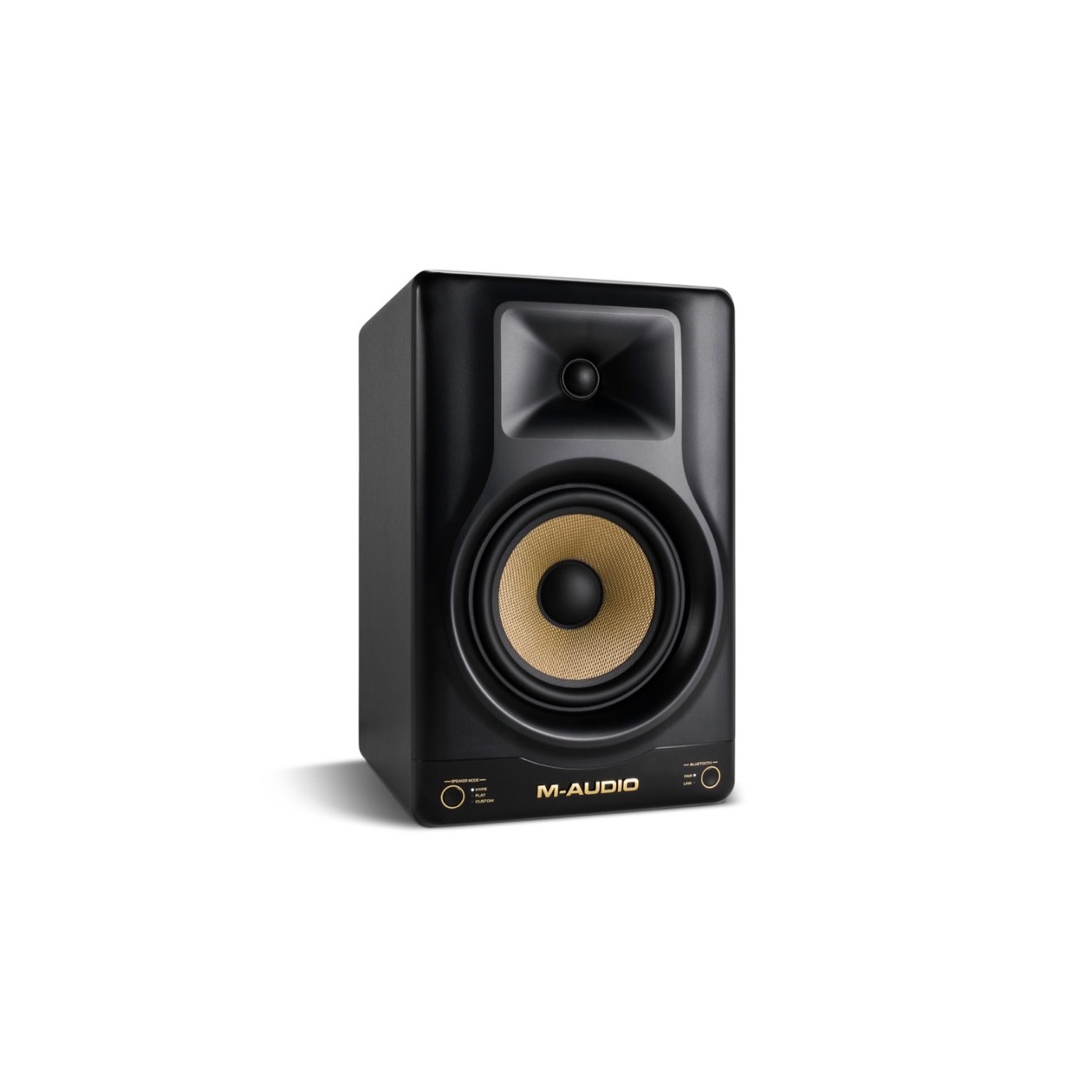 M-Audio Forty Sixty / FortySixty Advanced Multimedia Monitor per Stuk