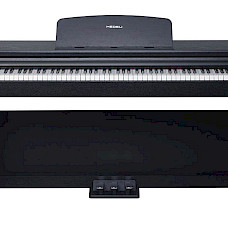 Medeli UP 82 BK / UP82 BK Educational Series Digitale Piano Black Satin NIEUW 2026 MODEL, in 48 uur gratis thuis afgeleverd, nieuw in doos!