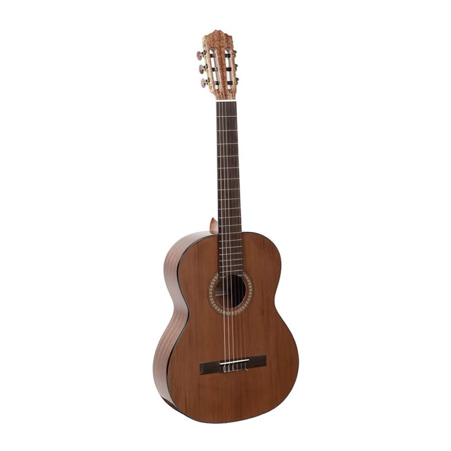 Salvador Cortez CC 21 Solid Top Artist Series klassieke gitaar
